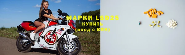 гашик Арсеньев