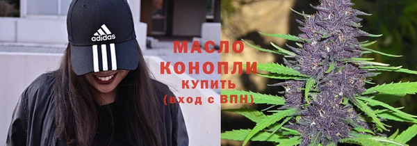гашик Арсеньев