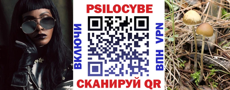 Псилоцибиновые грибы Cubensis  Обоянь 